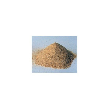 Green Lipped Mussel Extract 250g
