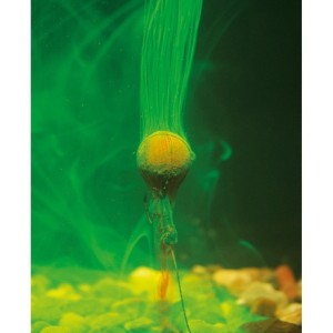 Korda GOO Spicy Squid Supreme
