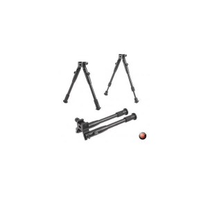 Bipod for PCP