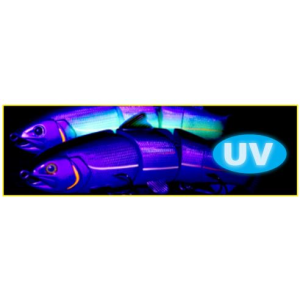 Vaba BBZ-1 UV 6" SS Rainbow Trout