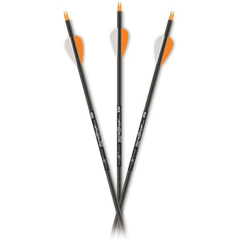 Puščica Carbon 400 Express 30"
