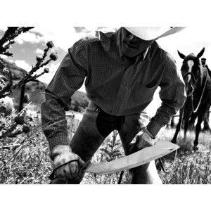 Mačeta Gerber Broadcut