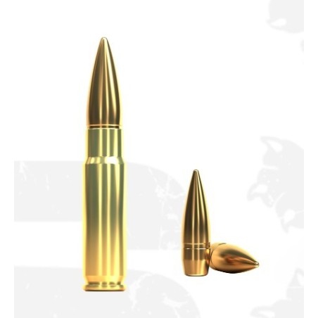 Naboji .300 AAC 9,55g FMJ (20) Sellier & Bellot