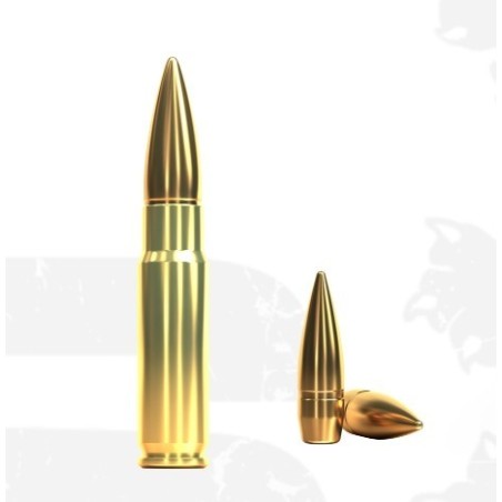 Naboji .300 AAC 8,0g FMJ (20) Sellier & Bellot