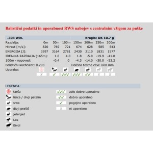 Naboji RWS .308 Win. DK 10,7g (20)