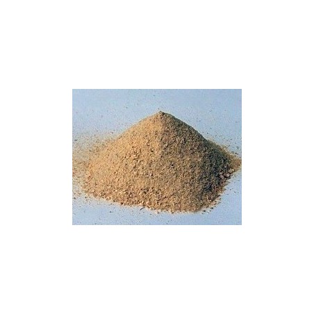 Biskvit Vanilla 2kg