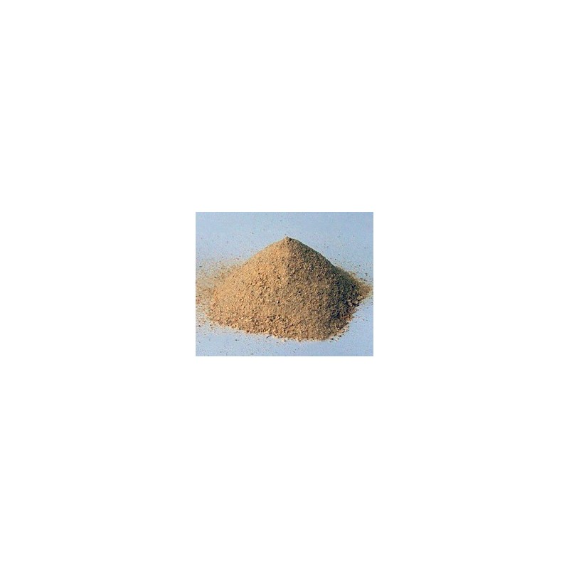 Green Lipped Mussel Extract 1kg  AABaits