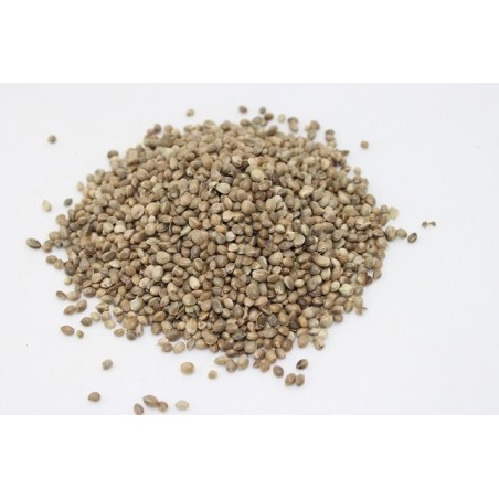 Konoplja Semena 5kg (Hempseed packed)