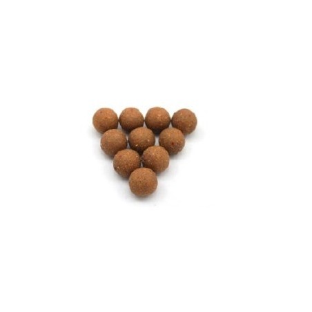 Boili Quality Serija Spicy Squid & Krill 20mm 5kg (24h)