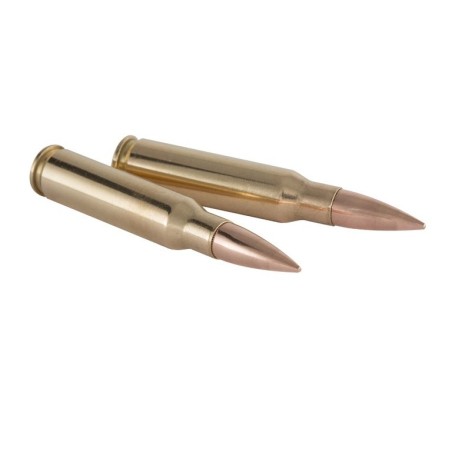 Naboji Winchester .223 Rem FMJ 3,56g/55gr (20)