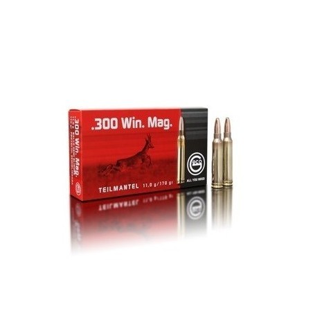 Naboji .300 Win Mag. TM 11,0g (20)