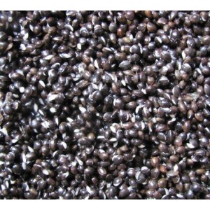 Partikl Konoplja cela semena 5kg - Hempseed prepared
