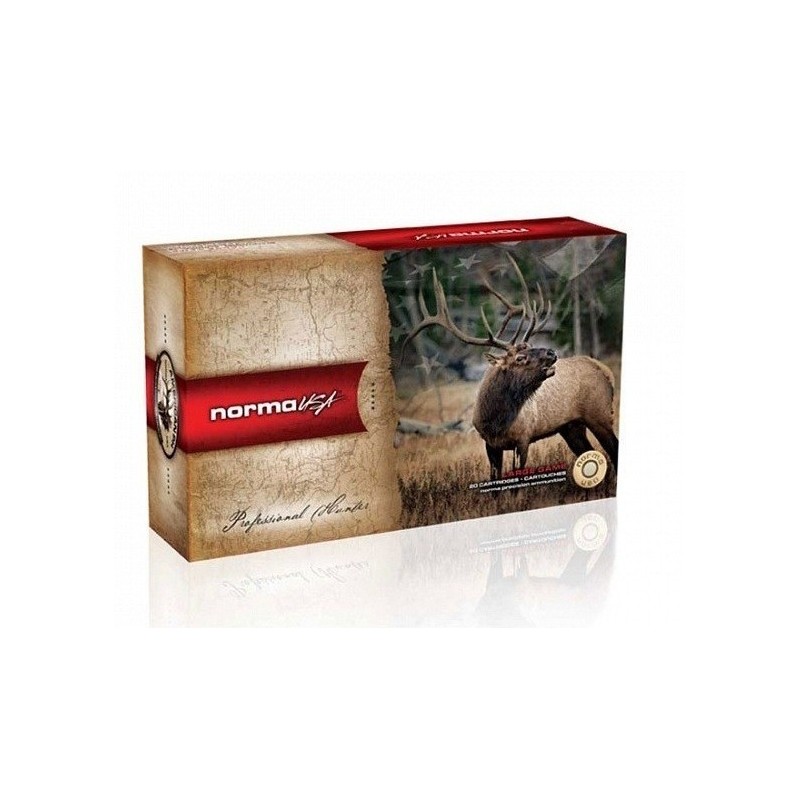 Naboji Norma CTG .375 H&H Mag  19,4g (20)