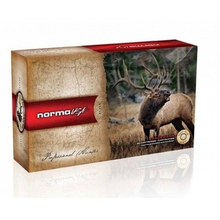 Naboji Norma CTG .375 H&H Mag  19,4g (20)
