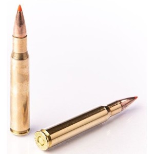 Naboji Fiocchi 308 Win EPN 180gr (20)