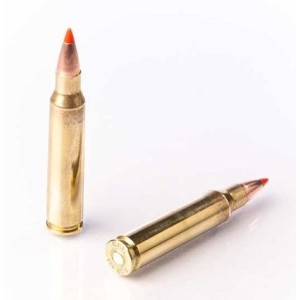 Naboji Fiocchi .223 Rem EPN 55gr (50)