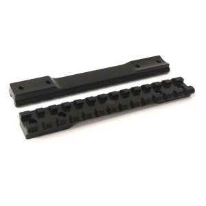 Picatinny rail Winchester XPR SA