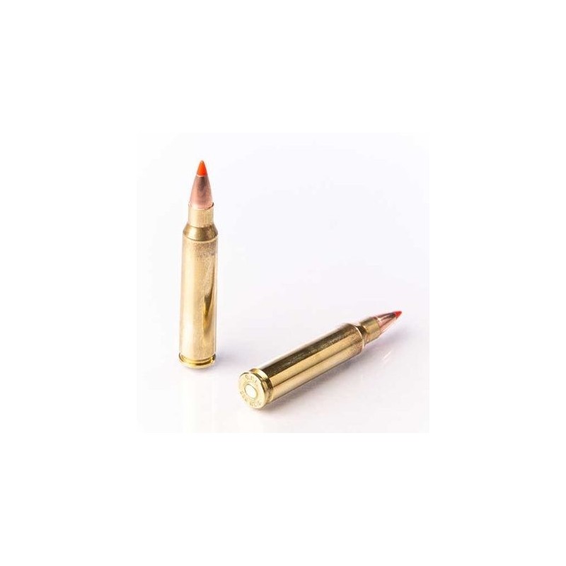 Naboji Fiocchi .223 Rem EPN 60gr (50)