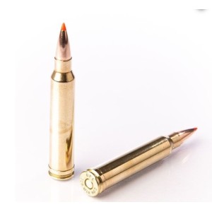 Naboji Fiocchi .300 Win EPN 180gr (10)