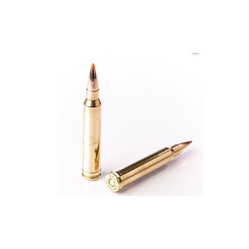 Naboji Fiocchi .300 Win EPN 180gr (10)