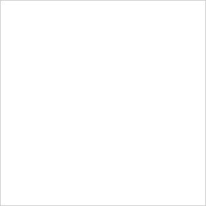 Spod Rod Prologic 12' 4,5lb 2-del