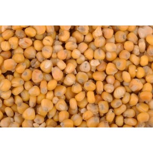 Partikli Yellow Corn 1,5L PVA¸+