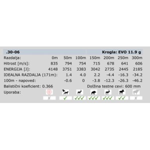 Naboji RWS 30-06 EVO 11,9g (20)
