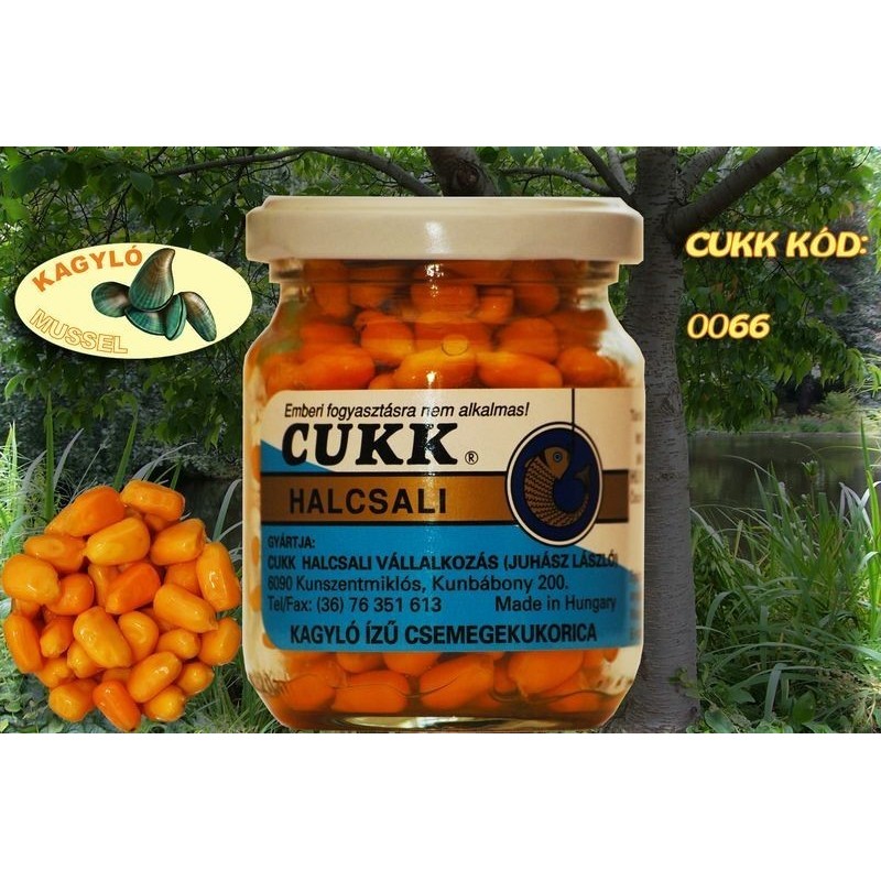 Koruza Cukk Mussel (Školjka) 400 ml (colored)