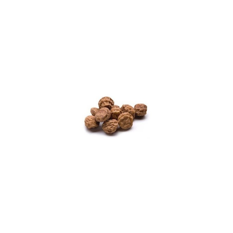 Semena JUMBO Tigernut 20-30mm 1kg