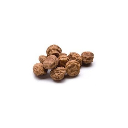 Semena JUMBO Tigernut 20-30mm 1kg