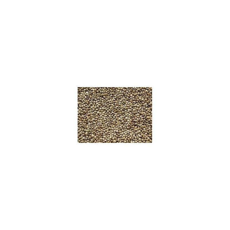 Semena Konoplje (HempSeed) 1kg